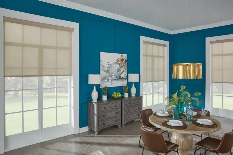 Custom roller shades installation in Southern California - Living Room – Light Filtering Roller Shades